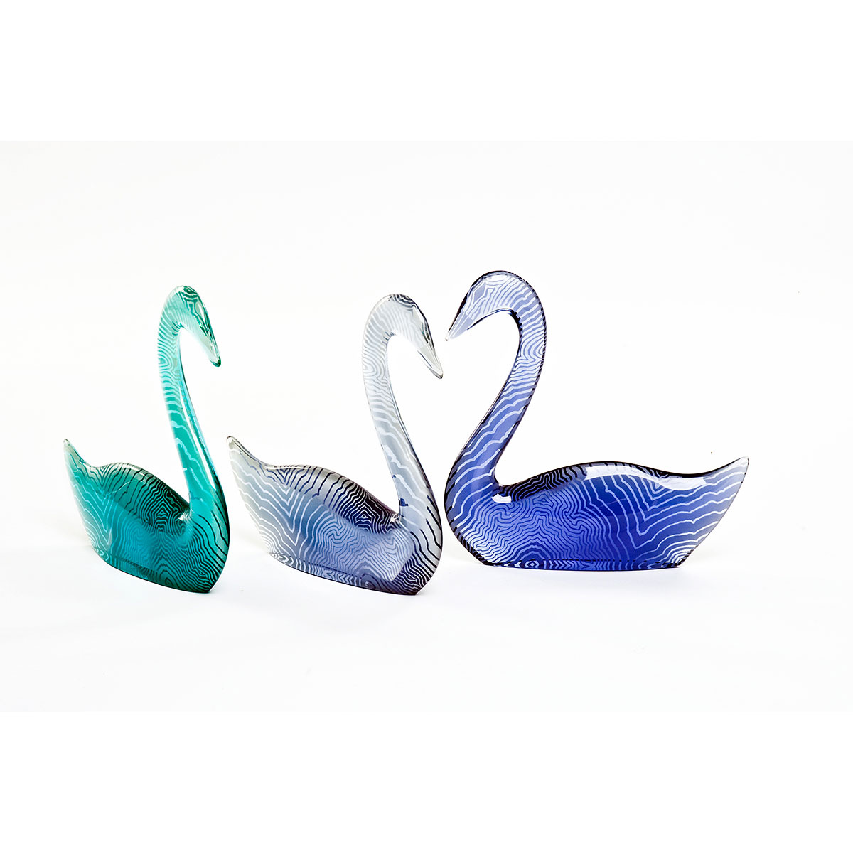 cisnes em tons de azul