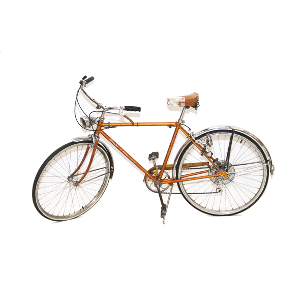 bicicleta collegiate