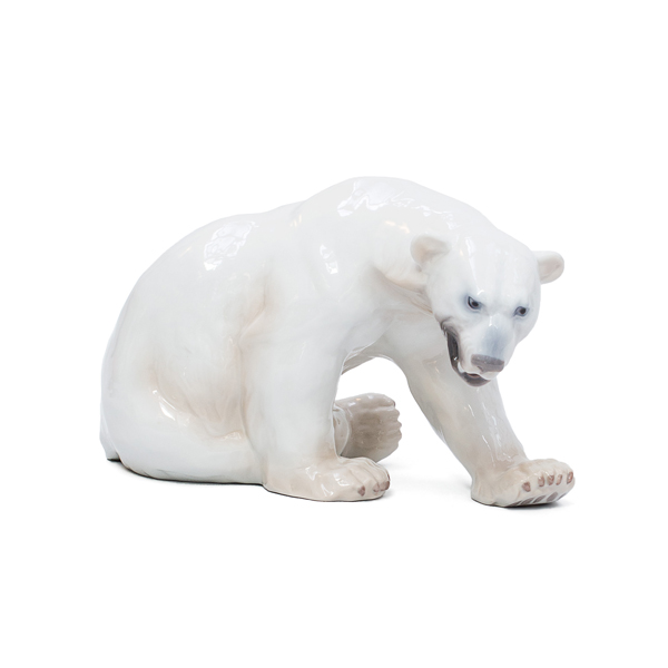 urso polar