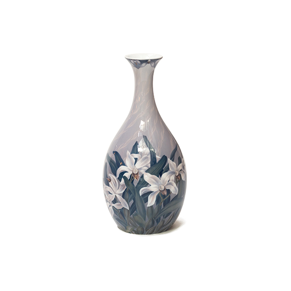 vaso orquídeas